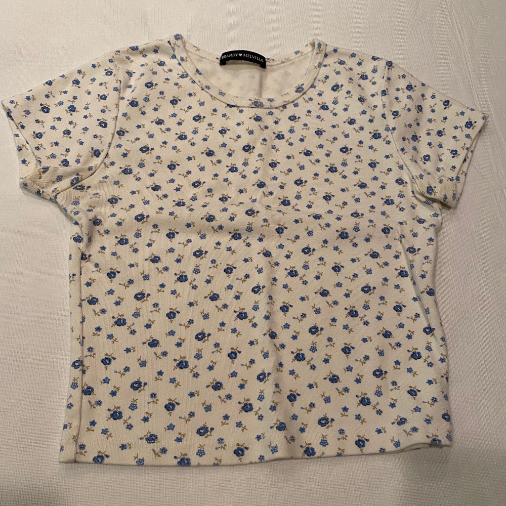 Brandy Melville Floral Cropped T-shirt